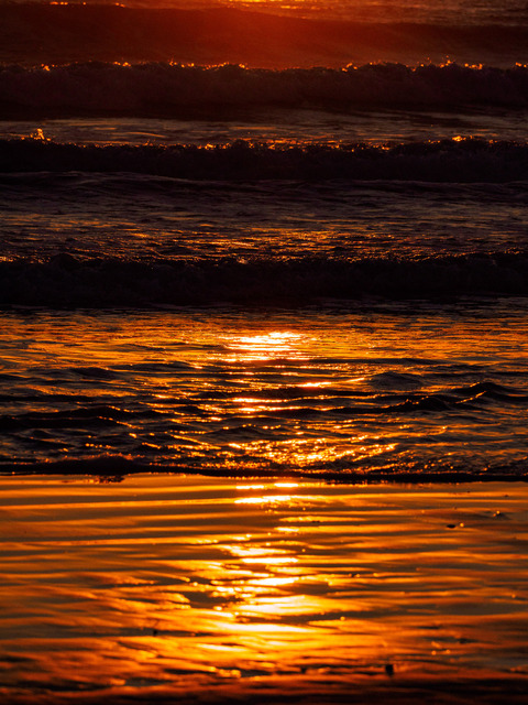 M1105390_CameraRAW_2048.jpg