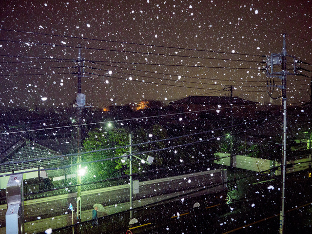 M1185516_CameraRAW_2048.jpg