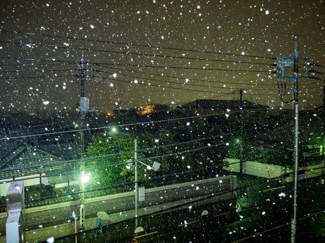 M1185516_CameraRAW_2048_1.jpg