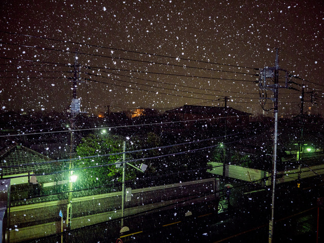 M1185521_CameraRAW_2048.jpg