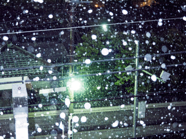 M1185546_CameraRAW_2048.jpg