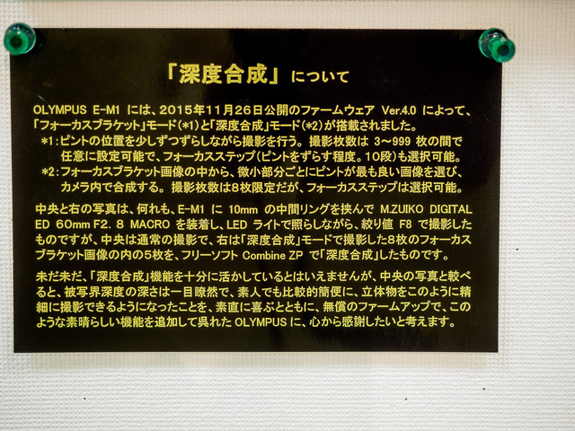 M1215600_CameraRAW_2048.jpg