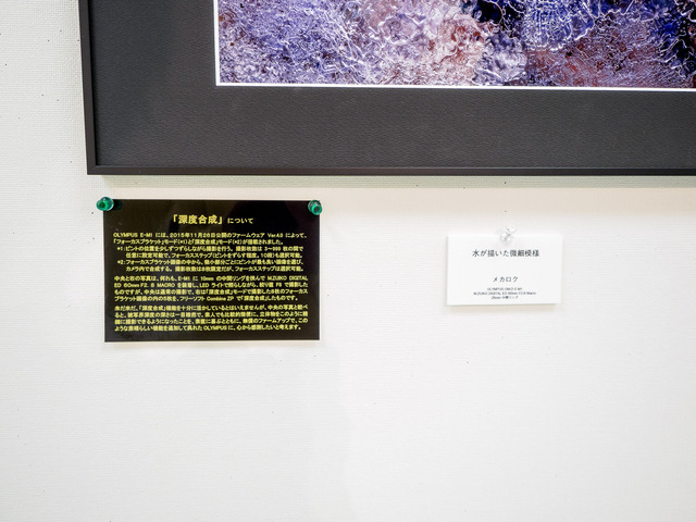 M1215601_CameraRAW_2048.jpg