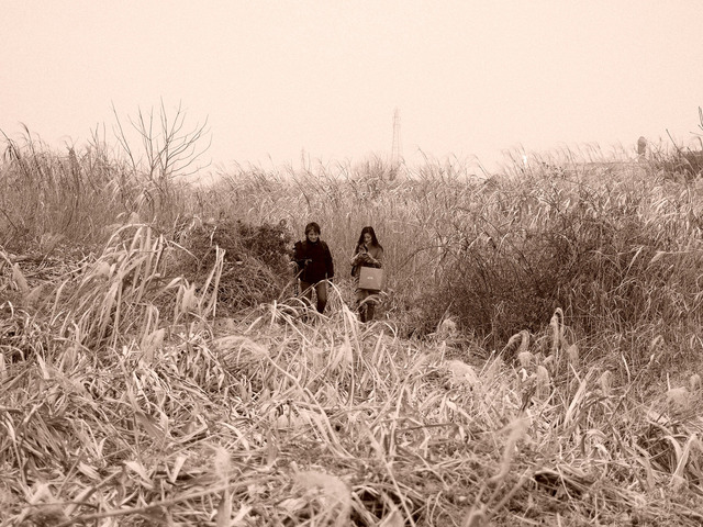 M2066916_CameraRAW_2048.jpg