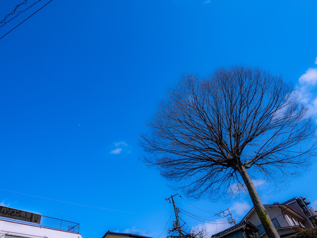 M2147039_CameraRAW_2048.jpg