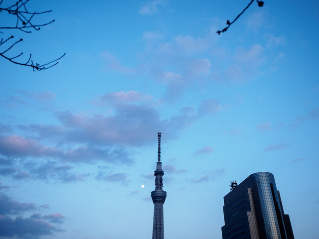 M3210011_CameraRAW_2048.jpg