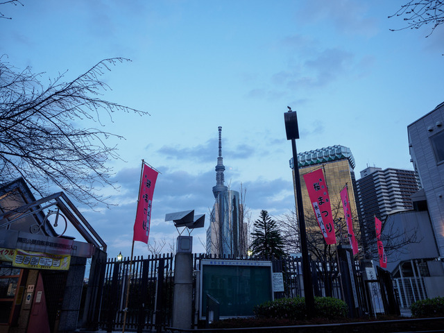 M3210019_CameraRAW_2048.jpg