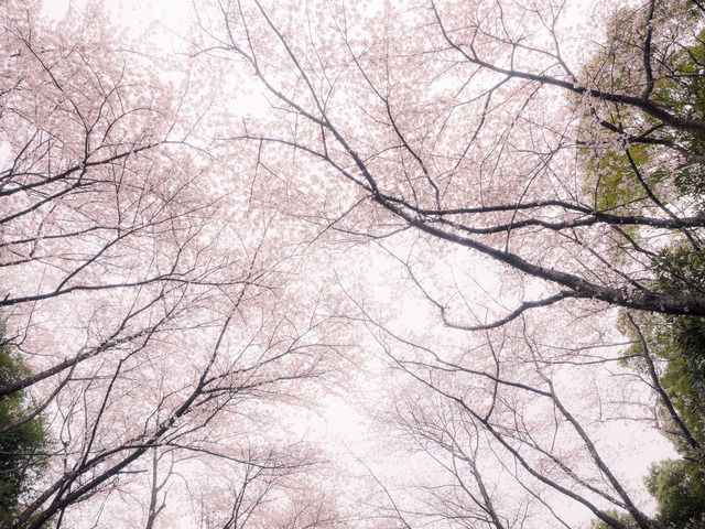 M4020546_CameraRAW_2048.jpg