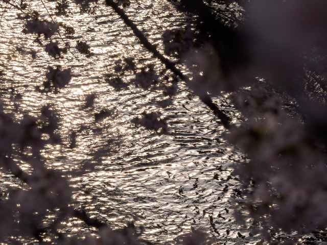 M4060764_CameraRAW_2048.jpg
