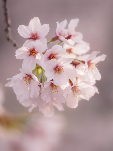M4060783_CameraRAW_2048.jpg