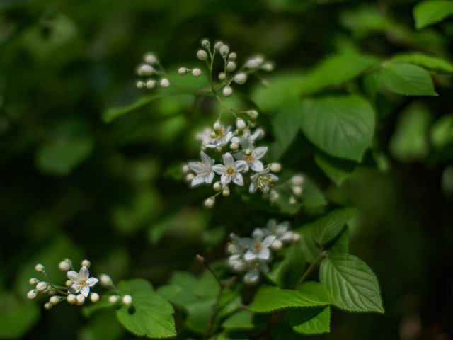 M5041866_CameraRAW_2048.jpg