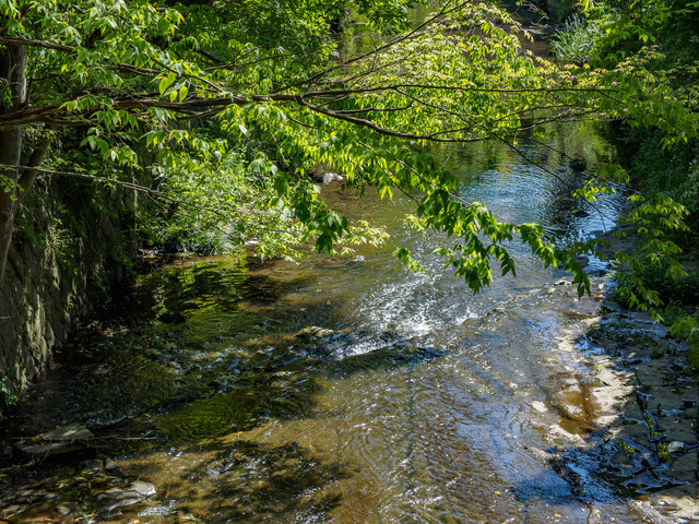 M5041867_CameraRAW_2048.jpg