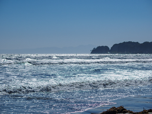 M5041875_CameraRAW_2048.jpg