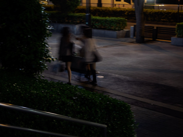 M5142306_CameraRAW_2048.jpg
