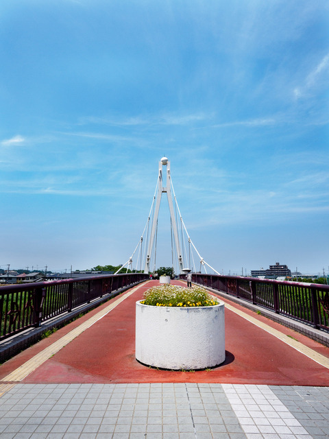 M5152349_CameraRAW_2048.jpg