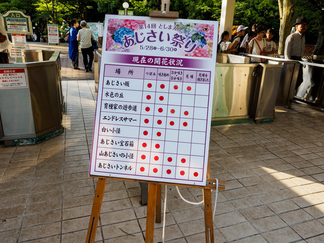 M6053399_CameraRAW_2048.jpg
