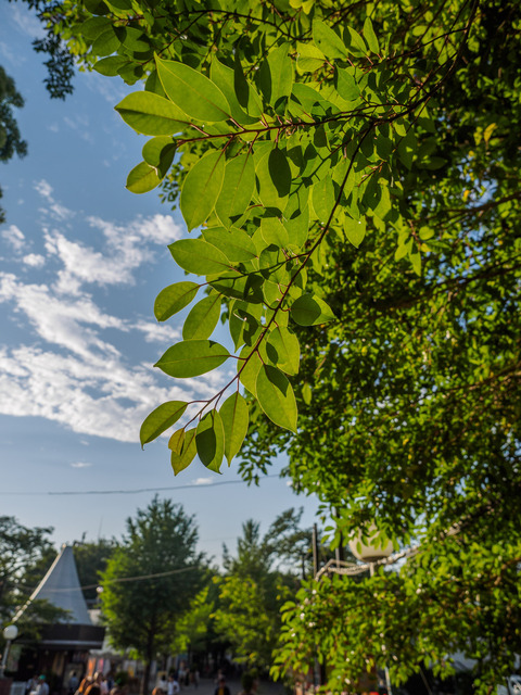 M6053413_CameraRAW_2048.jpg