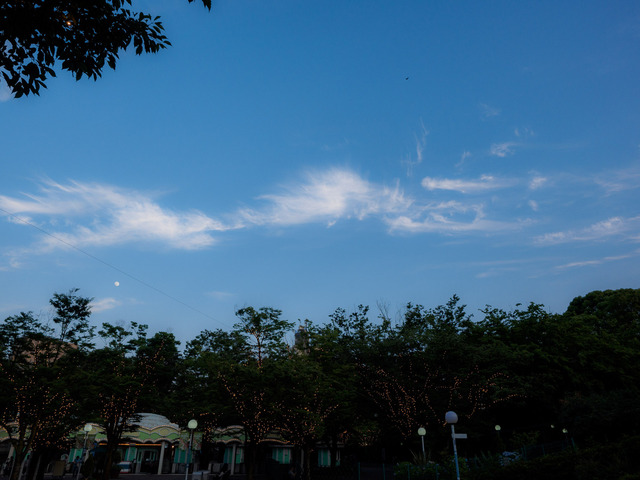 M6184202_CameraRAW_2048.jpg
