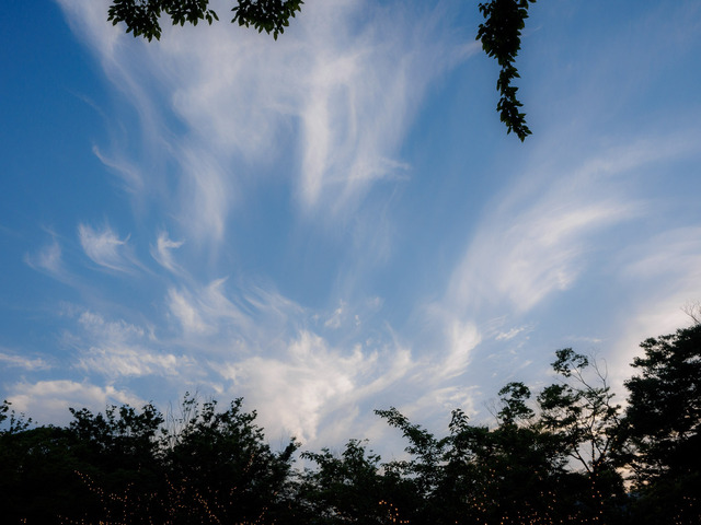 M6184204_CameraRAW_2048.jpg