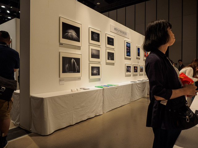M6224829_CameraRAW_2048.jpg