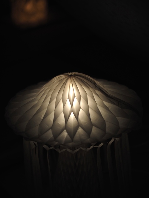 M7086942_2048x1536_2.jpg