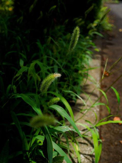 M7235216_CameraRAW_2048.jpg