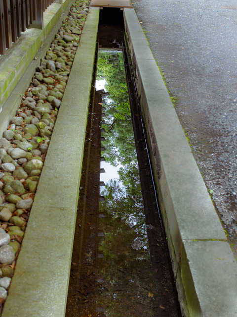 M7235345_CameraRAW_2048.jpg