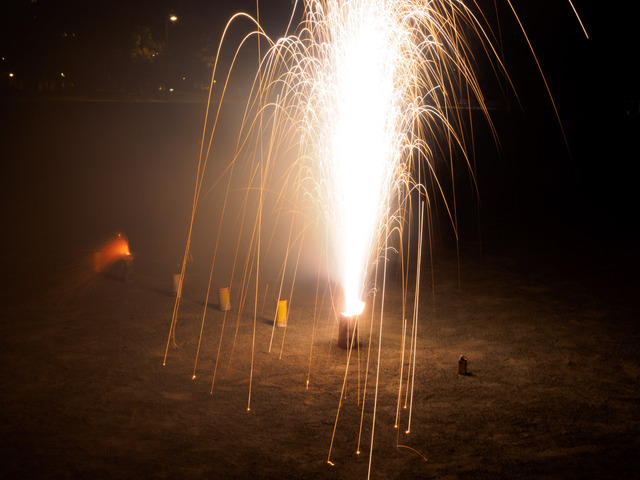 M7246027_CameraRAW_2048.jpg