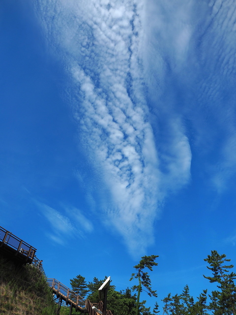M7250442_2048x1536_2.jpg