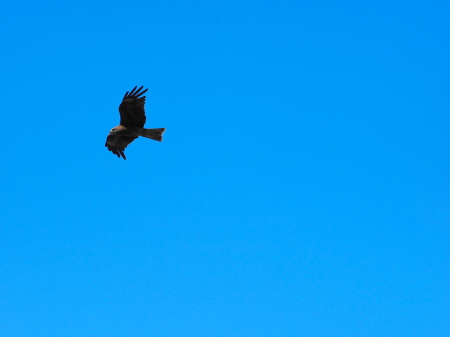 M7250742_2048x1536_2.jpg