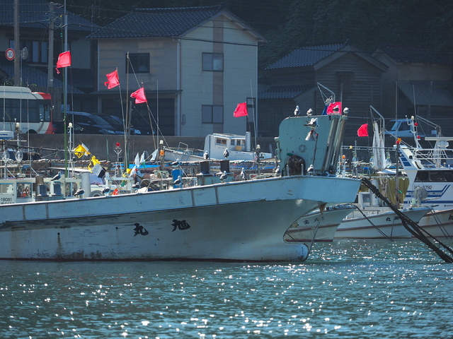 M7250770_2048x1536_2.jpg
