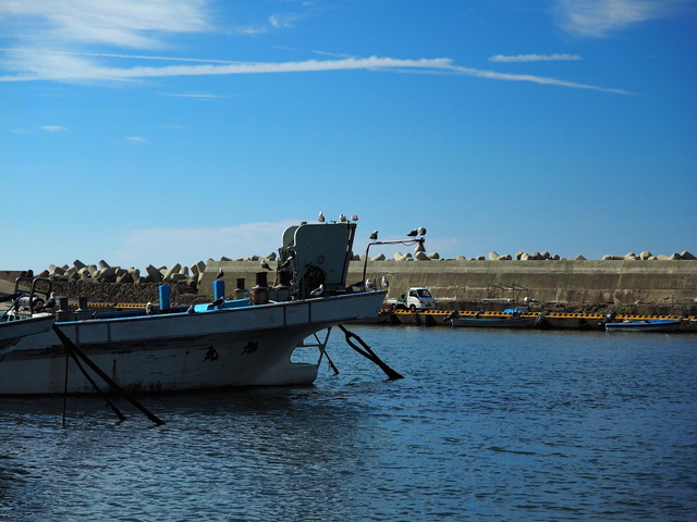 M7250806_2048x1536_2.jpg