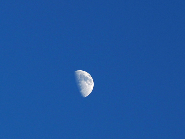M7250871_2048x1536_2.jpg