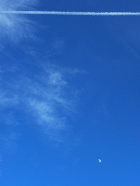 M7250872_2048x1536_2.jpg