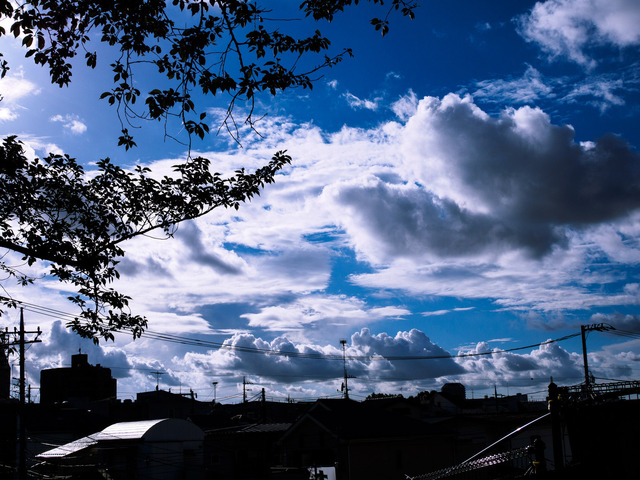 M7316078_CameraRAW_2048.jpg