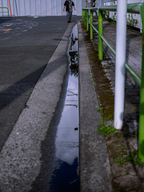 M7316082_CameraRAW_2048.jpg
