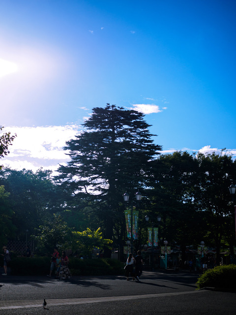M7316090_CameraRAW_2048.jpg