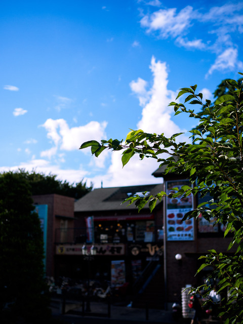 M7316091_CameraRAW_2048.jpg