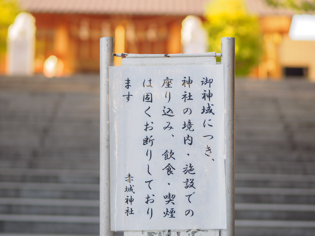 M8076726_CameraRAW_2048.jpg