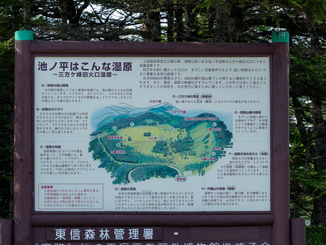 M8116767_CameraRAW_2048.jpg