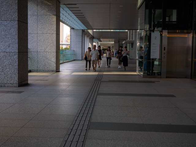 M9048000_CameraRAW_2048.jpg