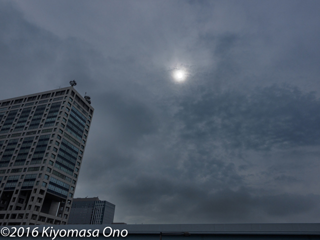 M9248596_Lightroom現像_2048.jpg