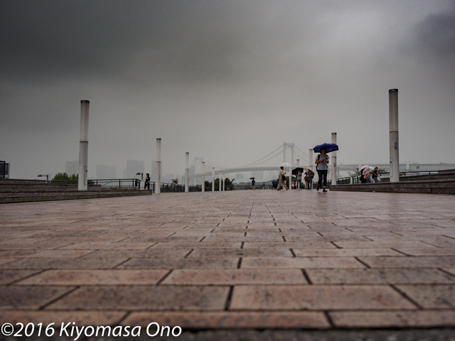 M9248732_Lightroom現像_2048.jpg