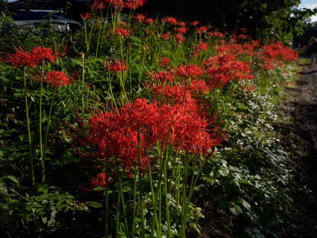 M9258759_CameraRAW_2048.jpg
