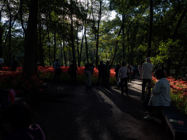 M9258841_CameraRAW_2048.jpg