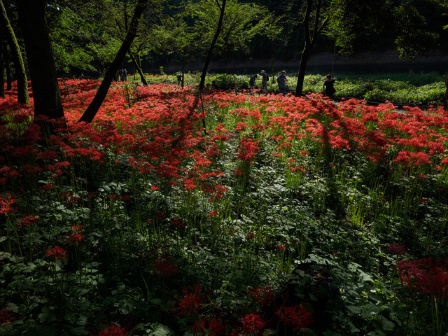 M9258936_CameraRAW_2048.jpg