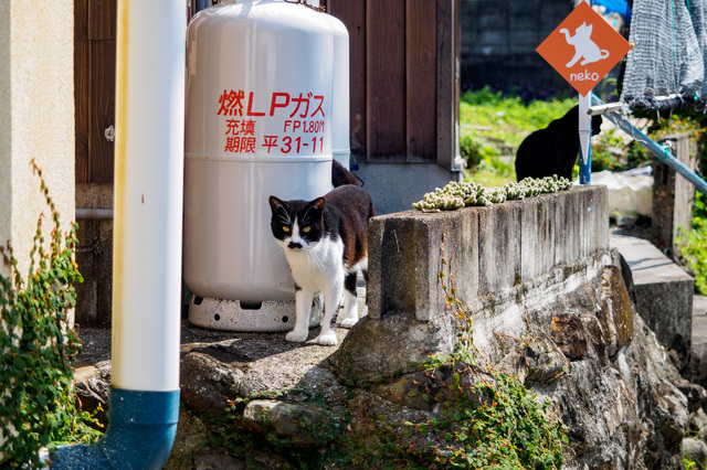 M9281647_CameraRAW_2048.jpg