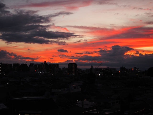 MA090141_2048x1536.jpg
