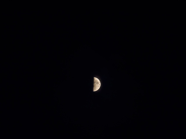 MA090158_CameraRAW_2048.jpg