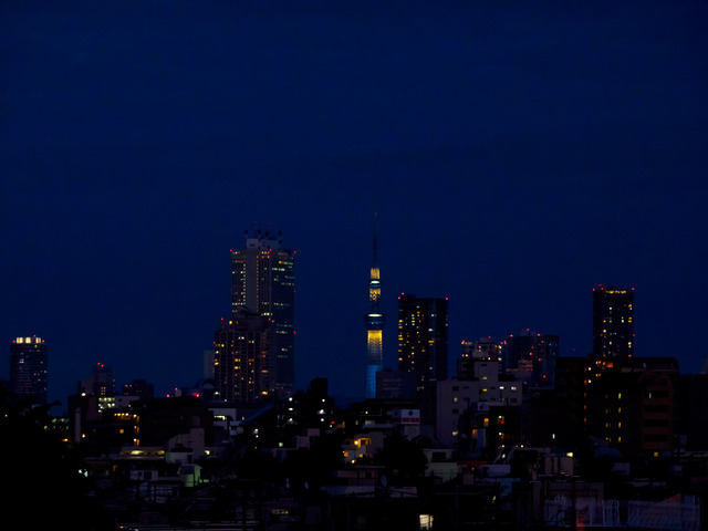 MA090160_CameraRAW_2048.jpg